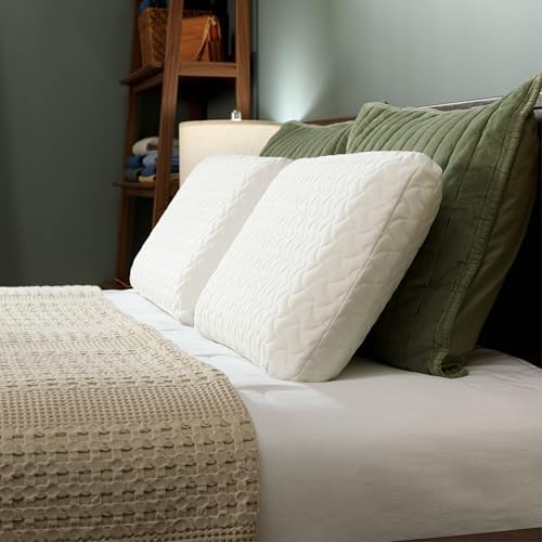 Tempur-Pedic TEMPUR-Cloud Pillow for Sleeping, Standard, White|B07CMKX3C7